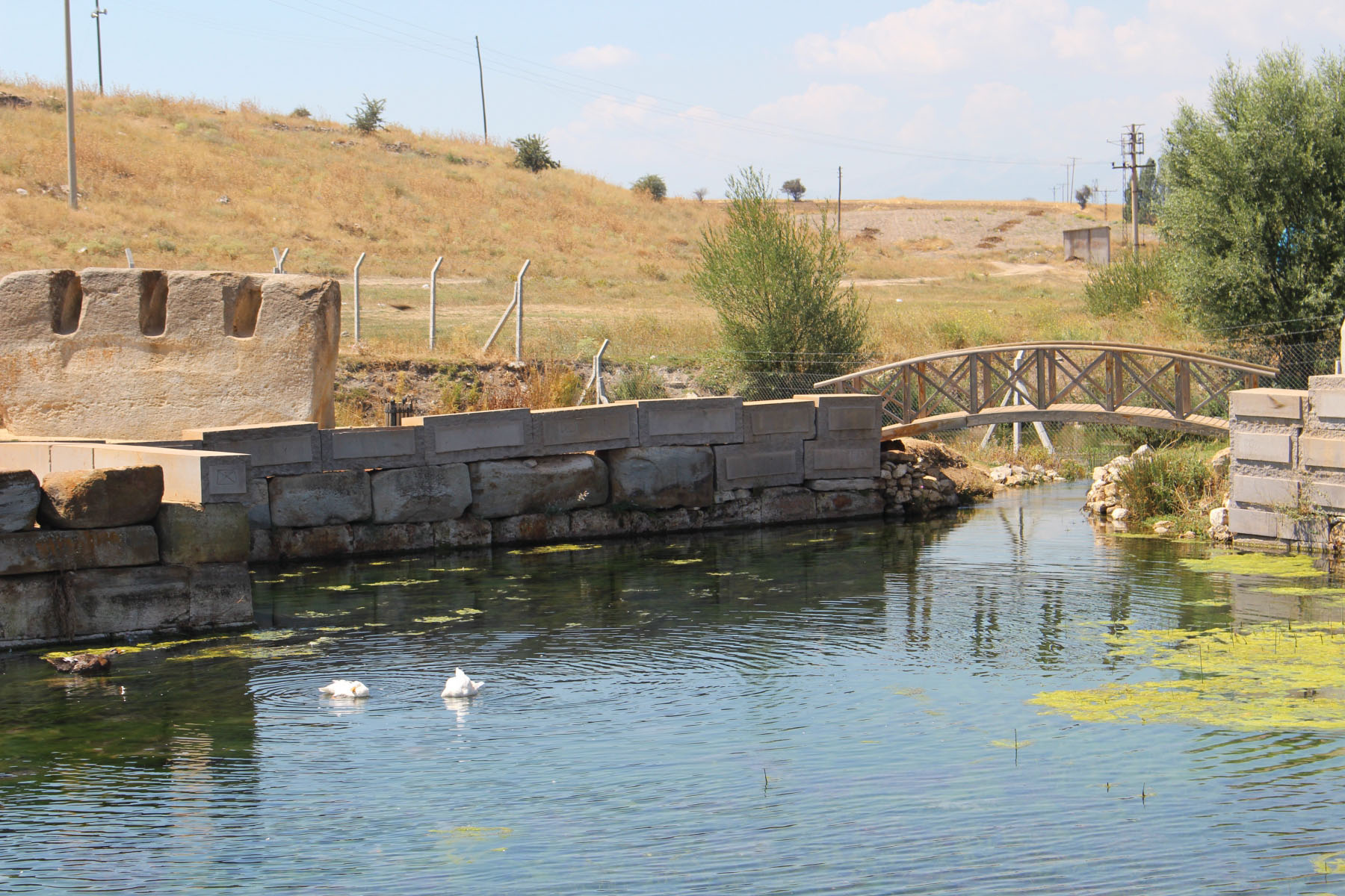 2a72c221-img_8905