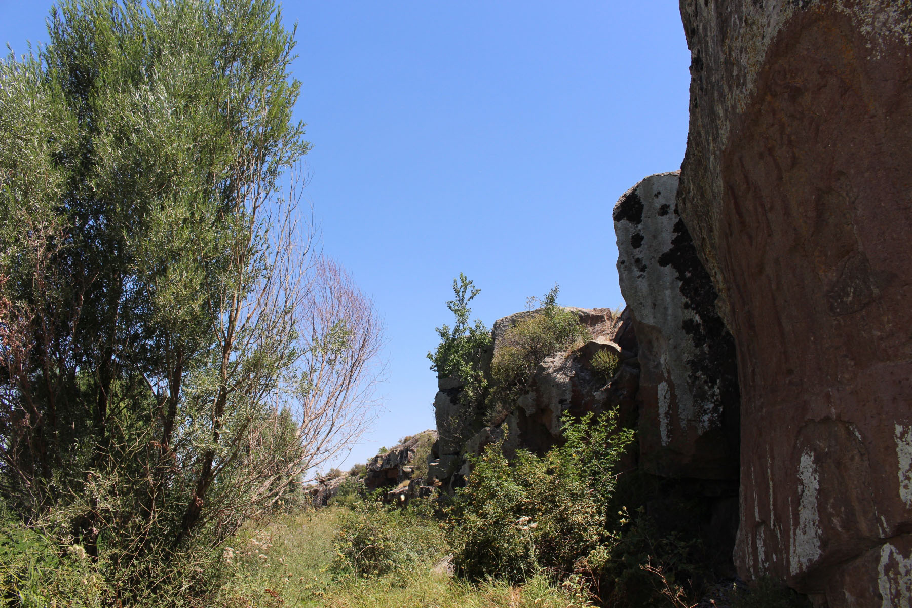 7b55a3bc-img_8234