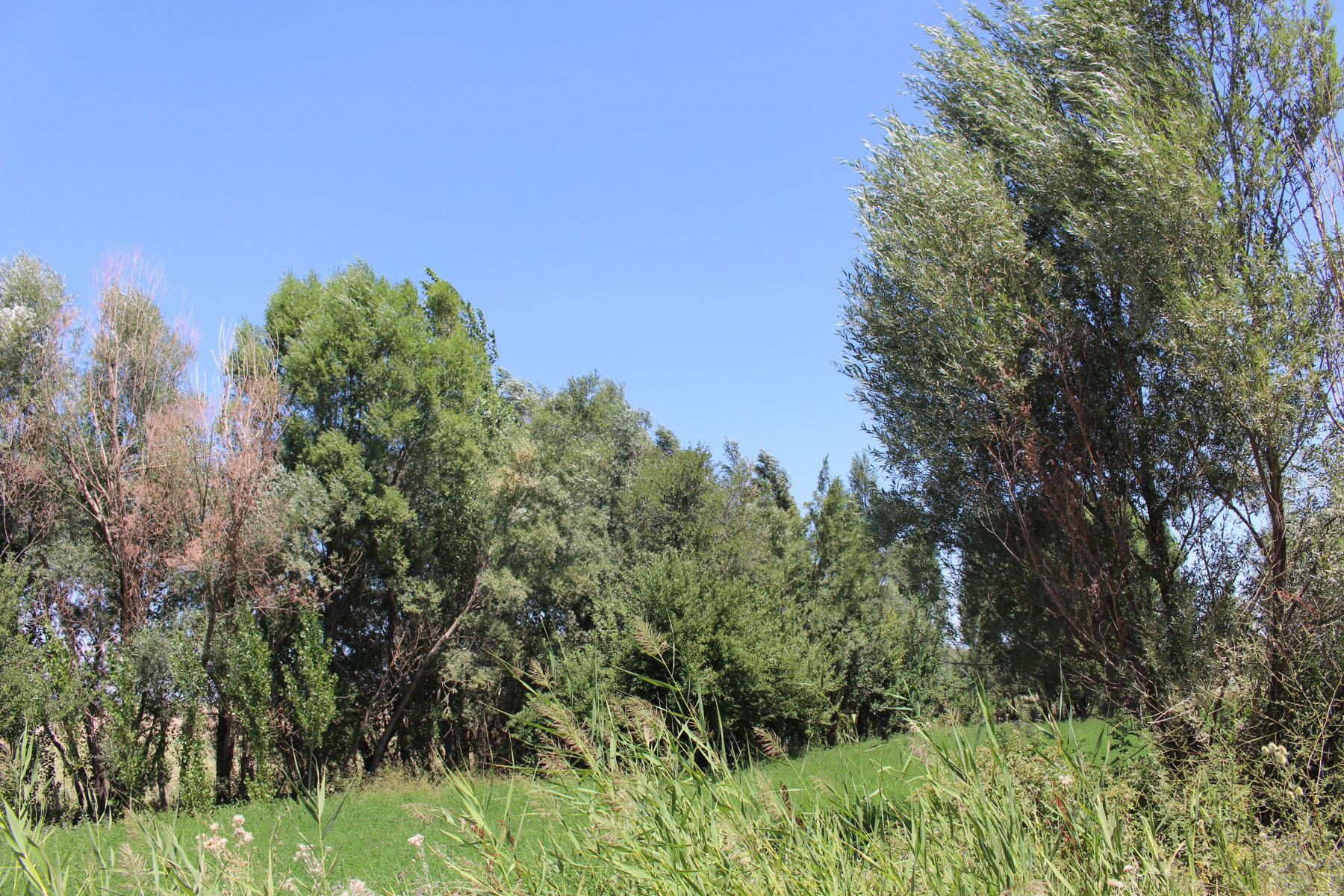 be7a7f36-img_8233