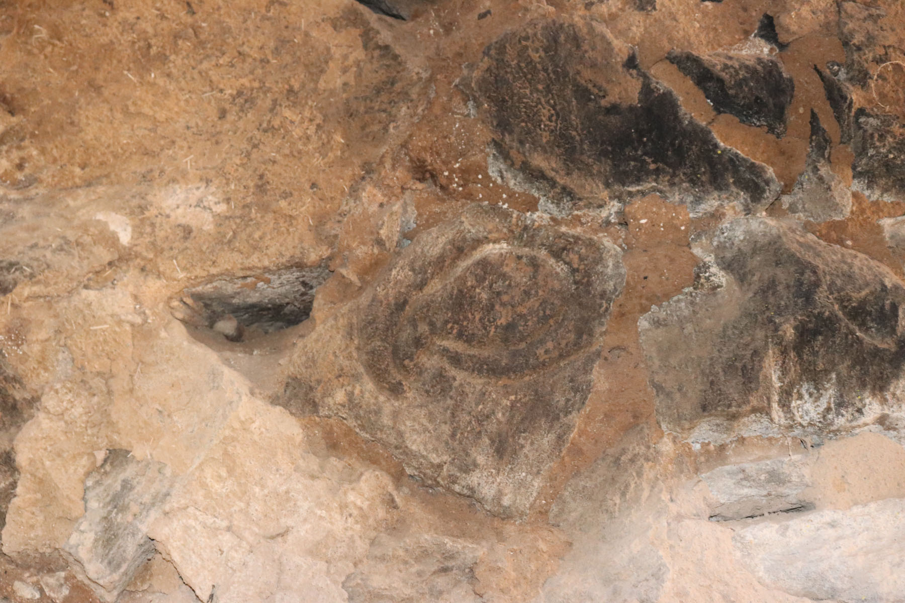 IMG_0895