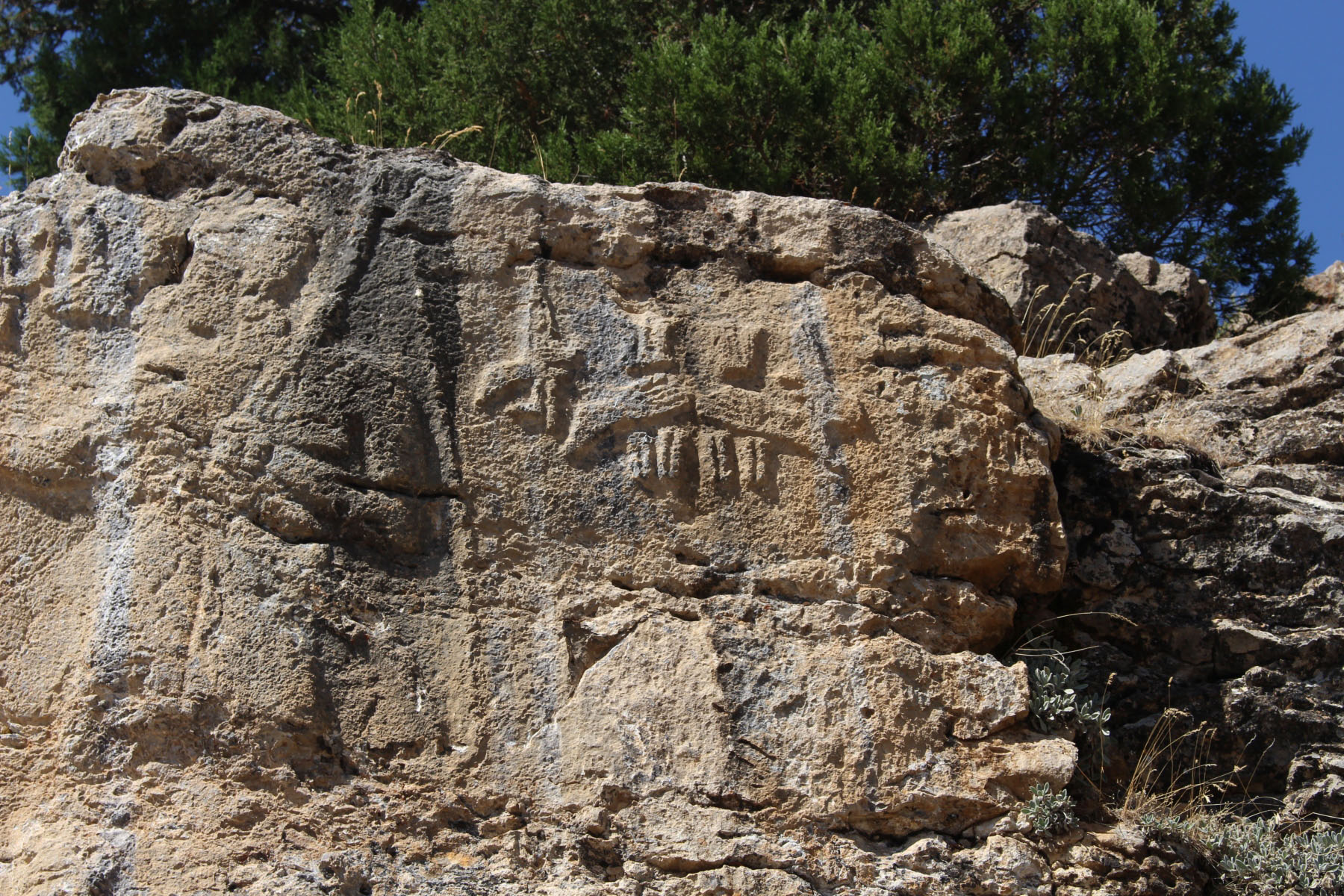 d4fe57ac-img_8508