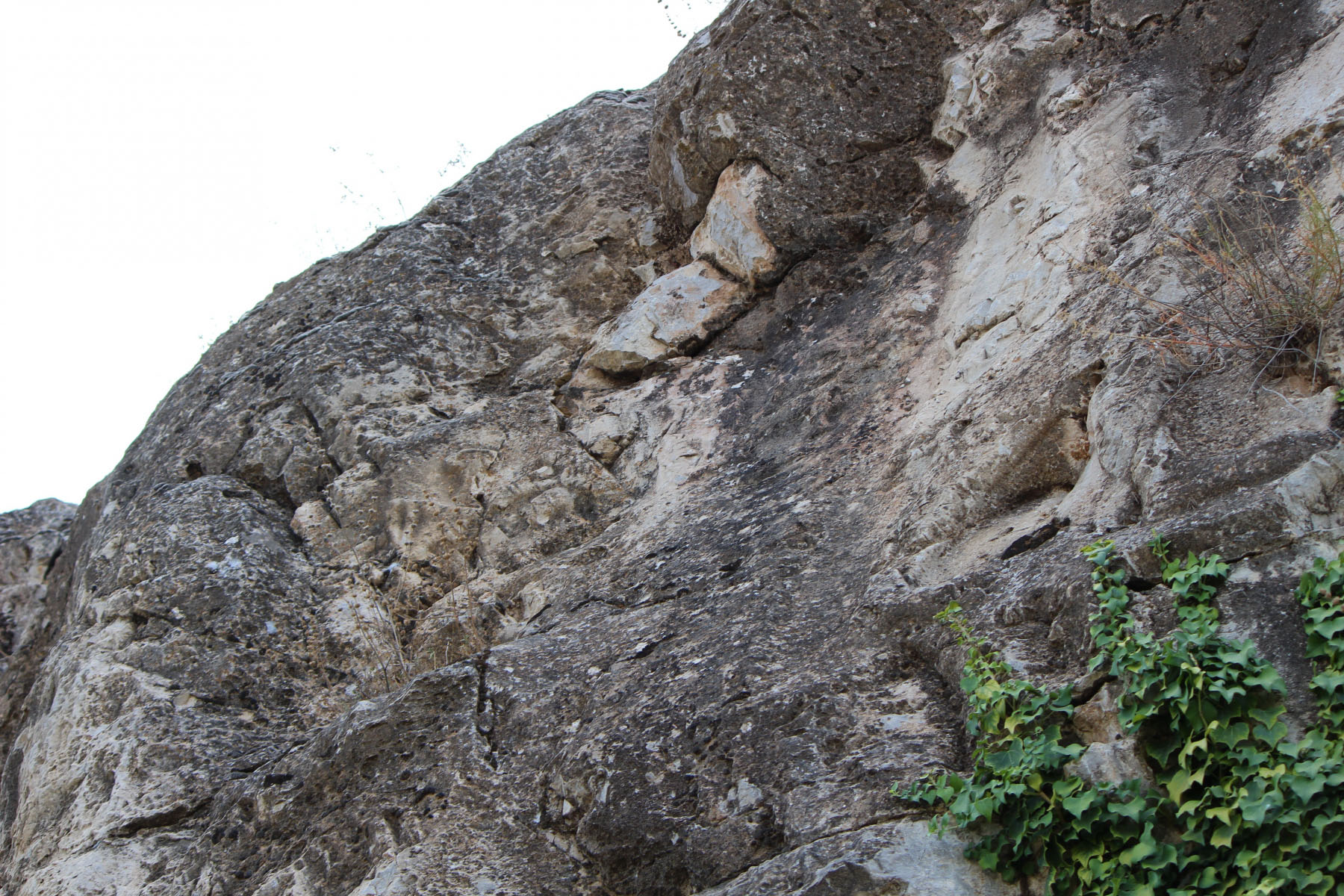 3b69b594-img_8937