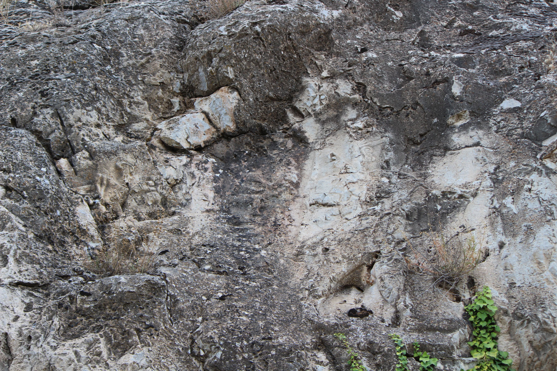 471ced48-img_8936