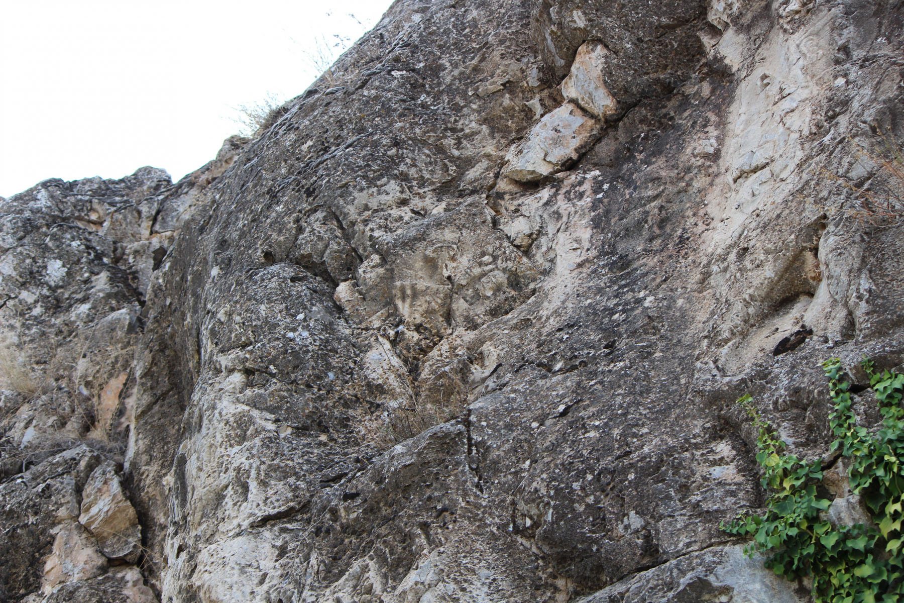 5b3d1f64-img_8942