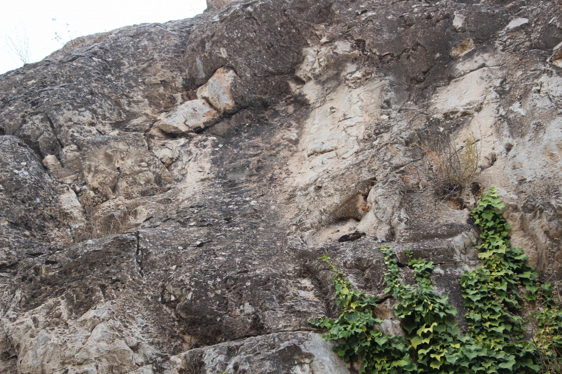 66ca7072-img_8953