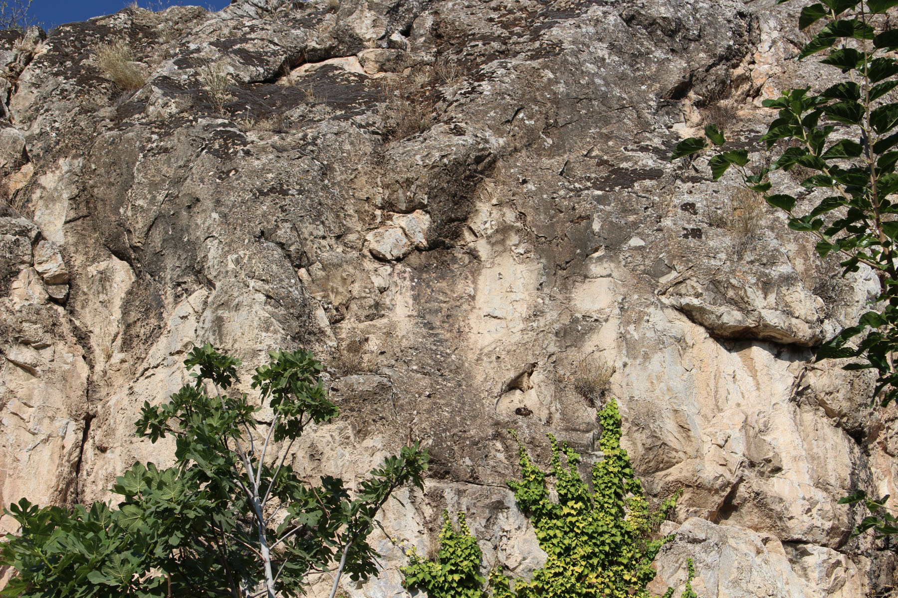 b13d4fbe-img_8979