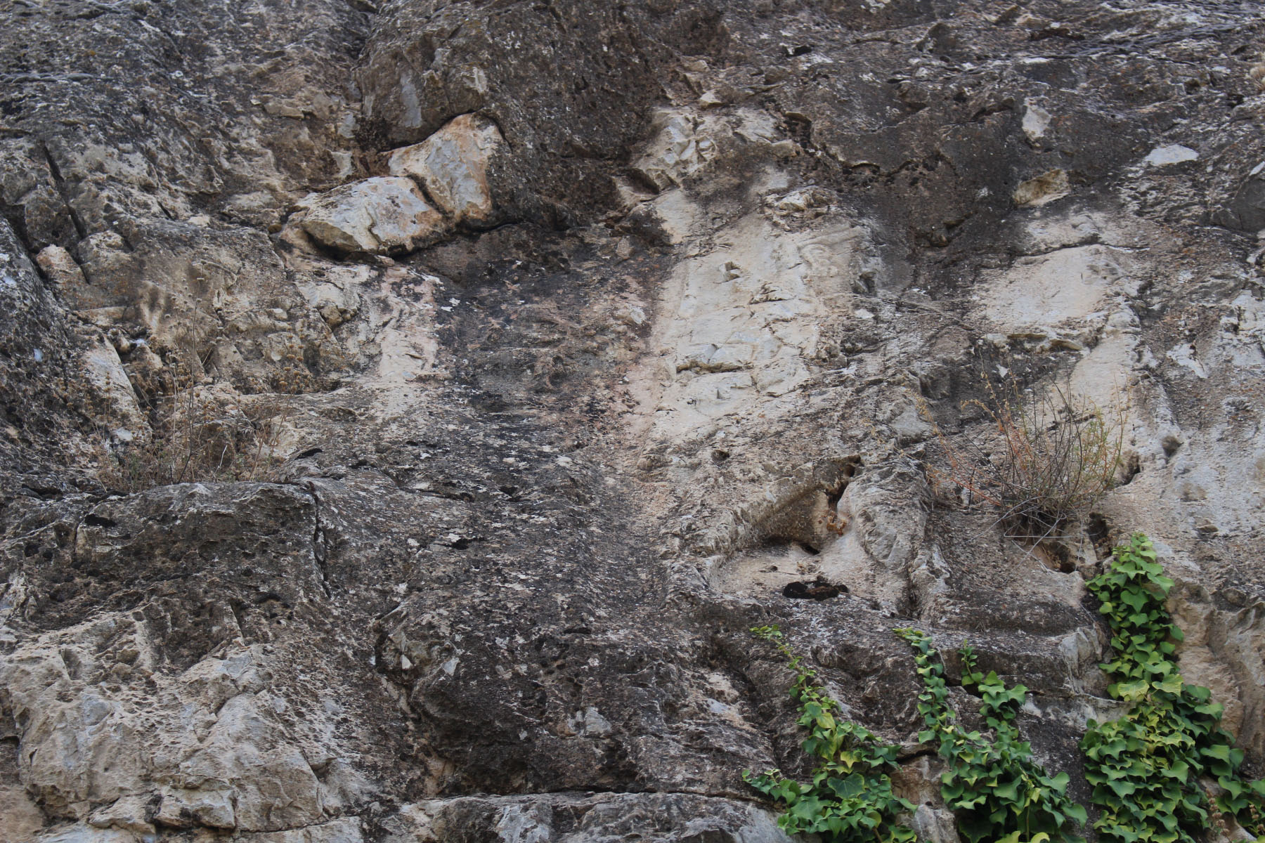 b8b1f510-img_8949