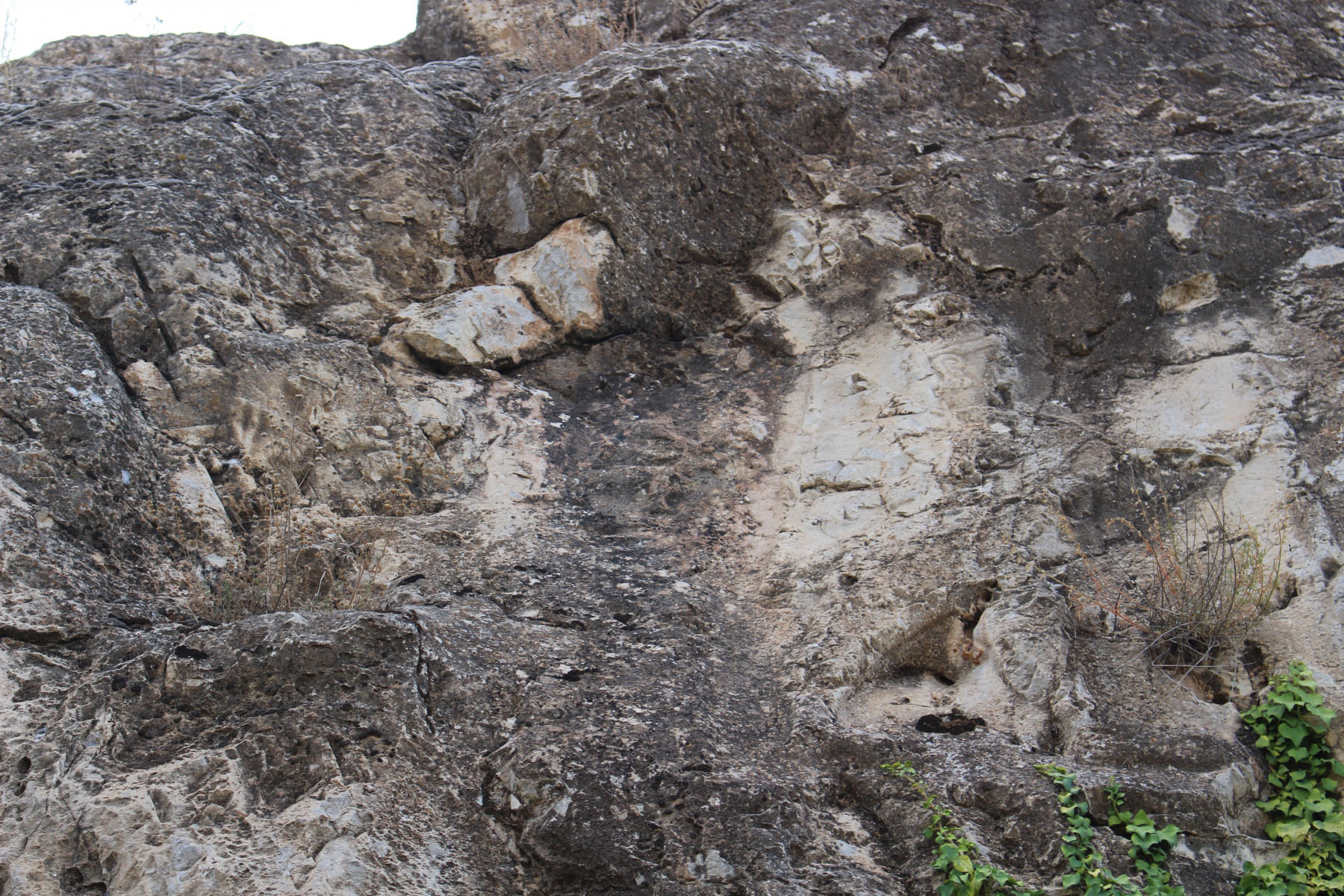 bf878298-img_8948