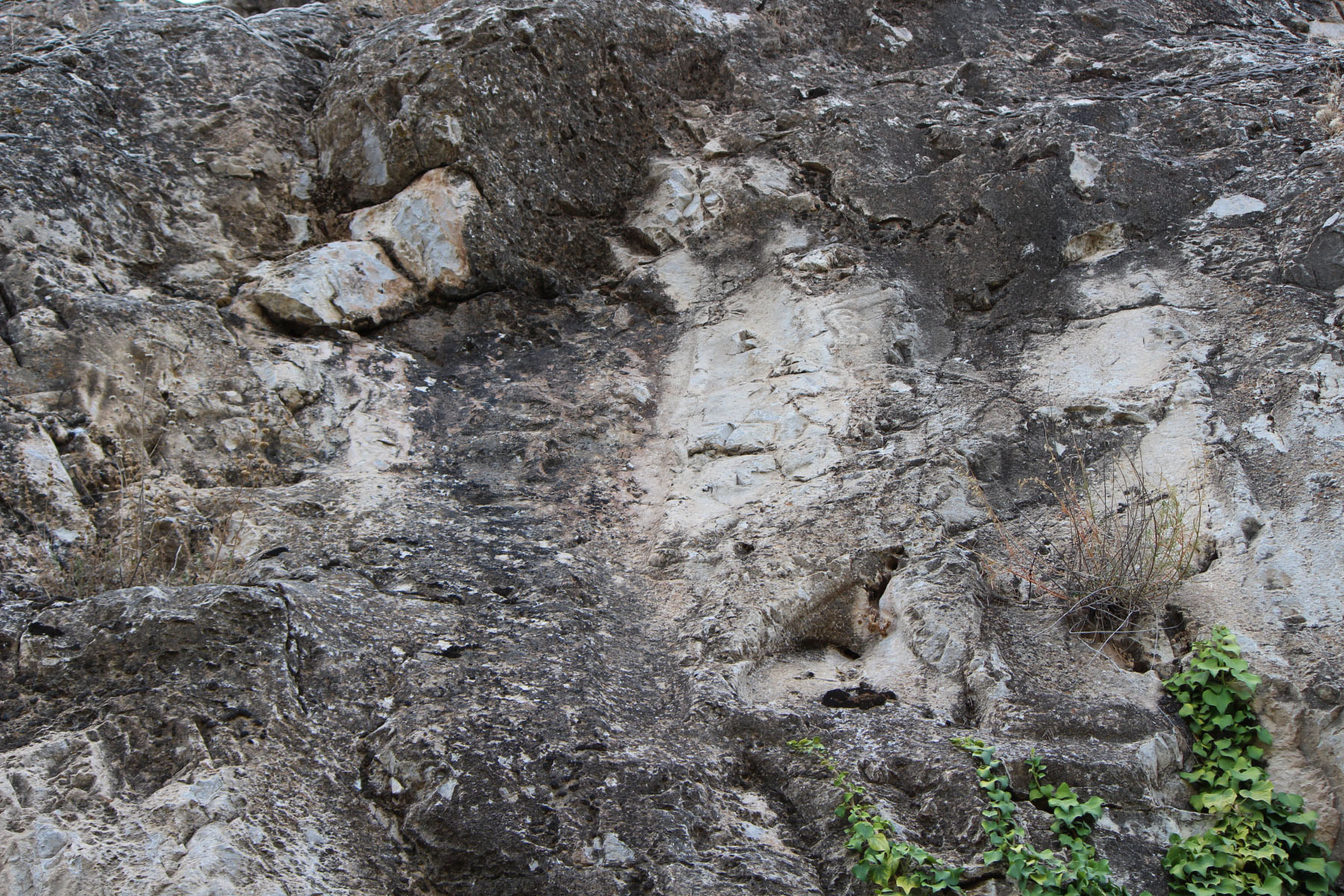 df444853-img_8944