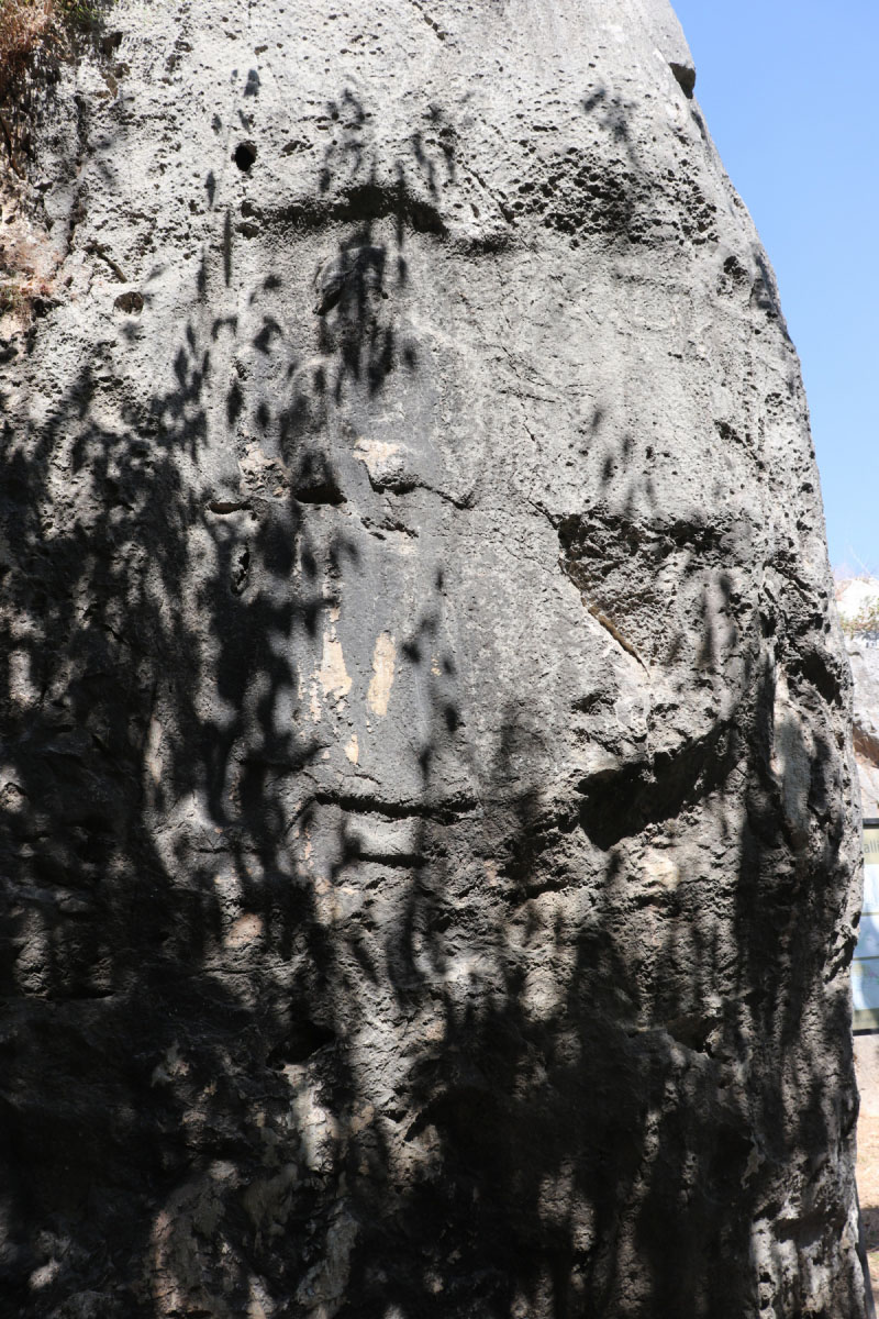 IMG_0501