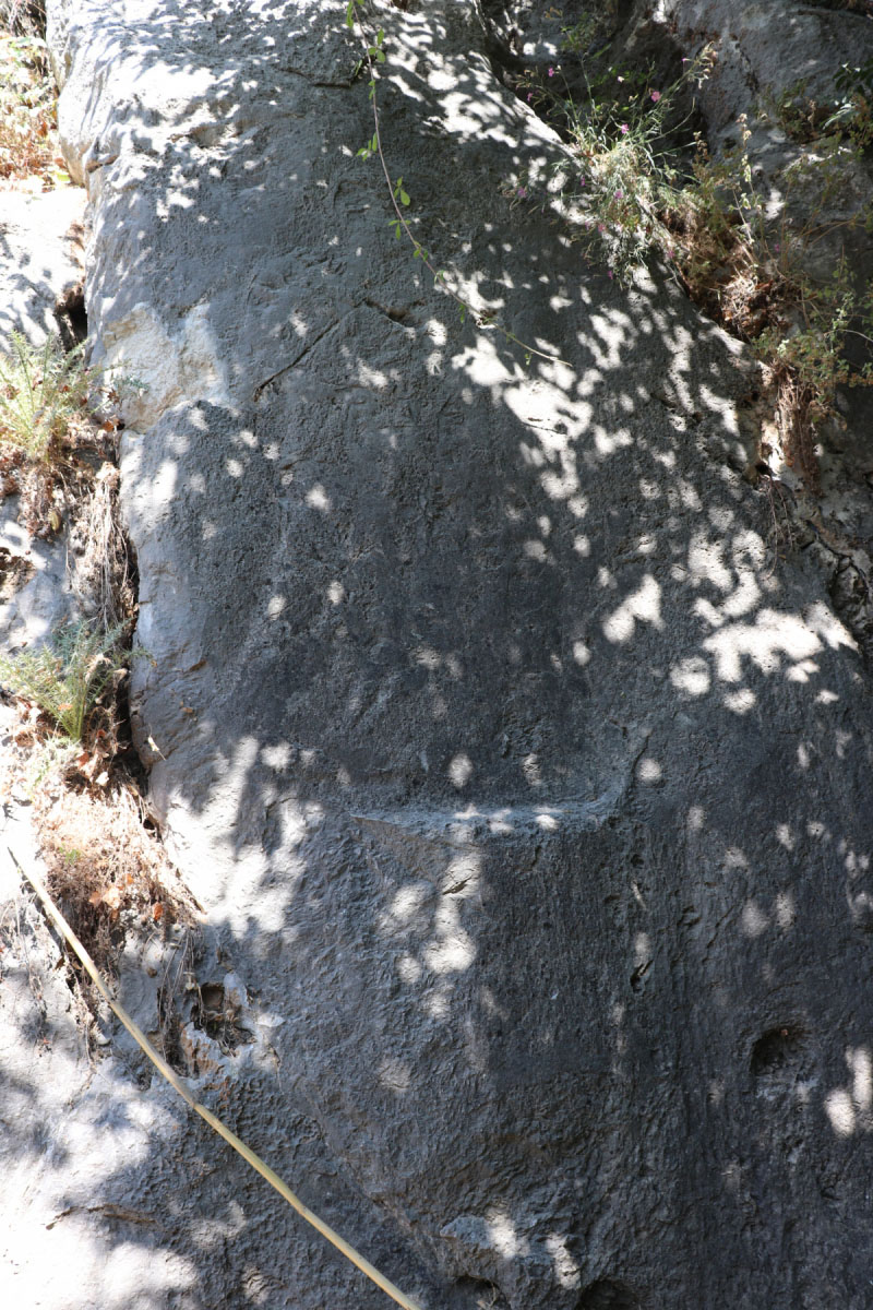 IMG_0506