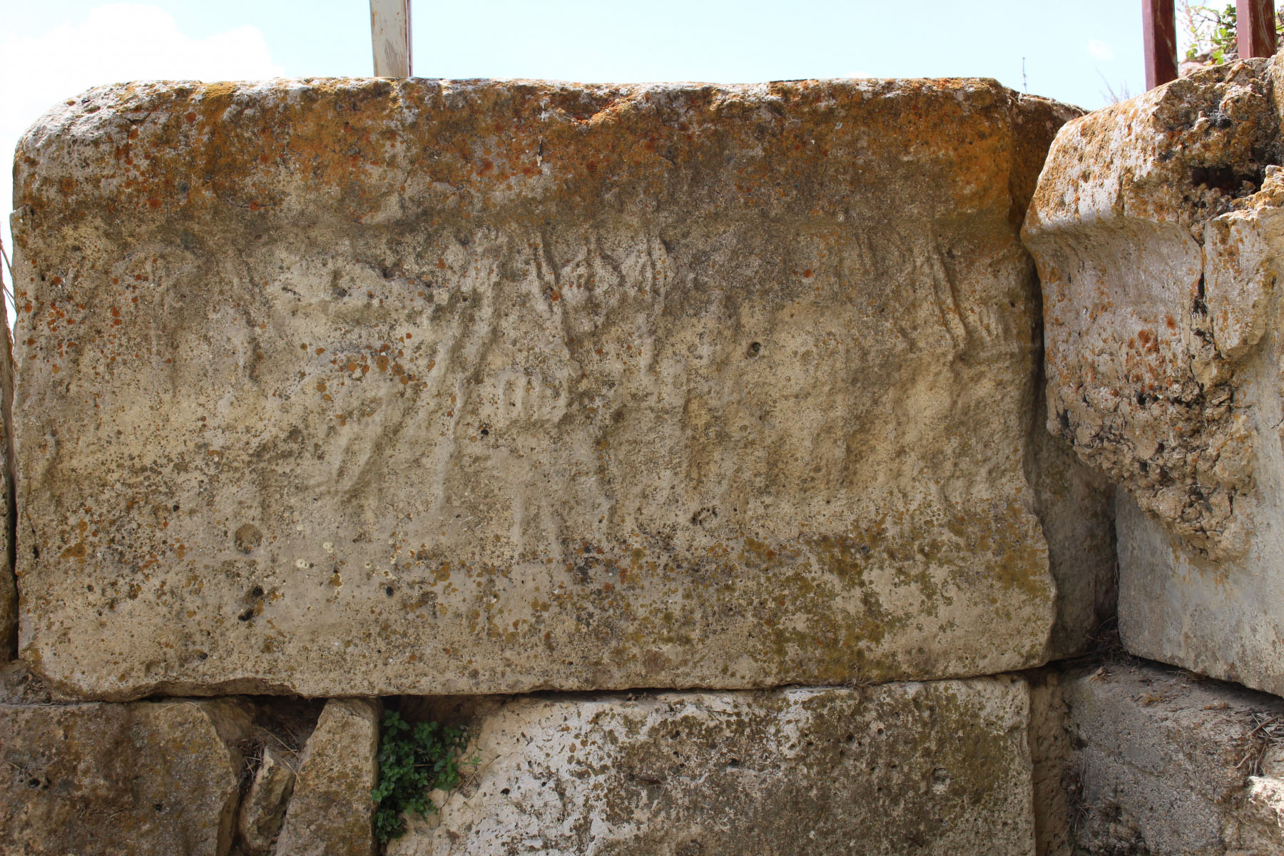 2e88a203-img_8661